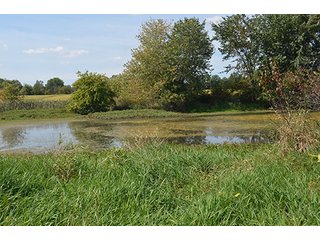 Property photo 2 - LAND AUCTION - 99+/- Acres offered in 4 Tracts or Combinations in Allen County